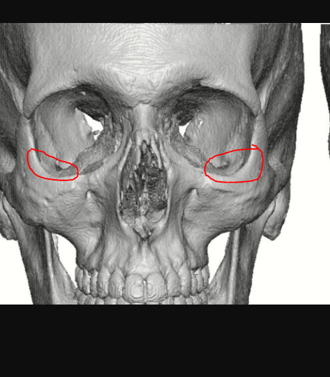 1761857498078 1761857498078