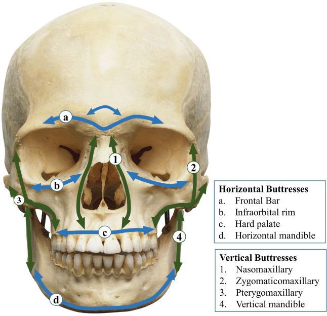1 s20 S2214854X21000157 gr4