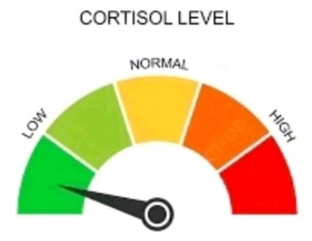 F4103c07c1424c1aa64add149418360atplv jj85edgx6n image medium