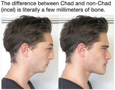 1761877682423 1761877682423