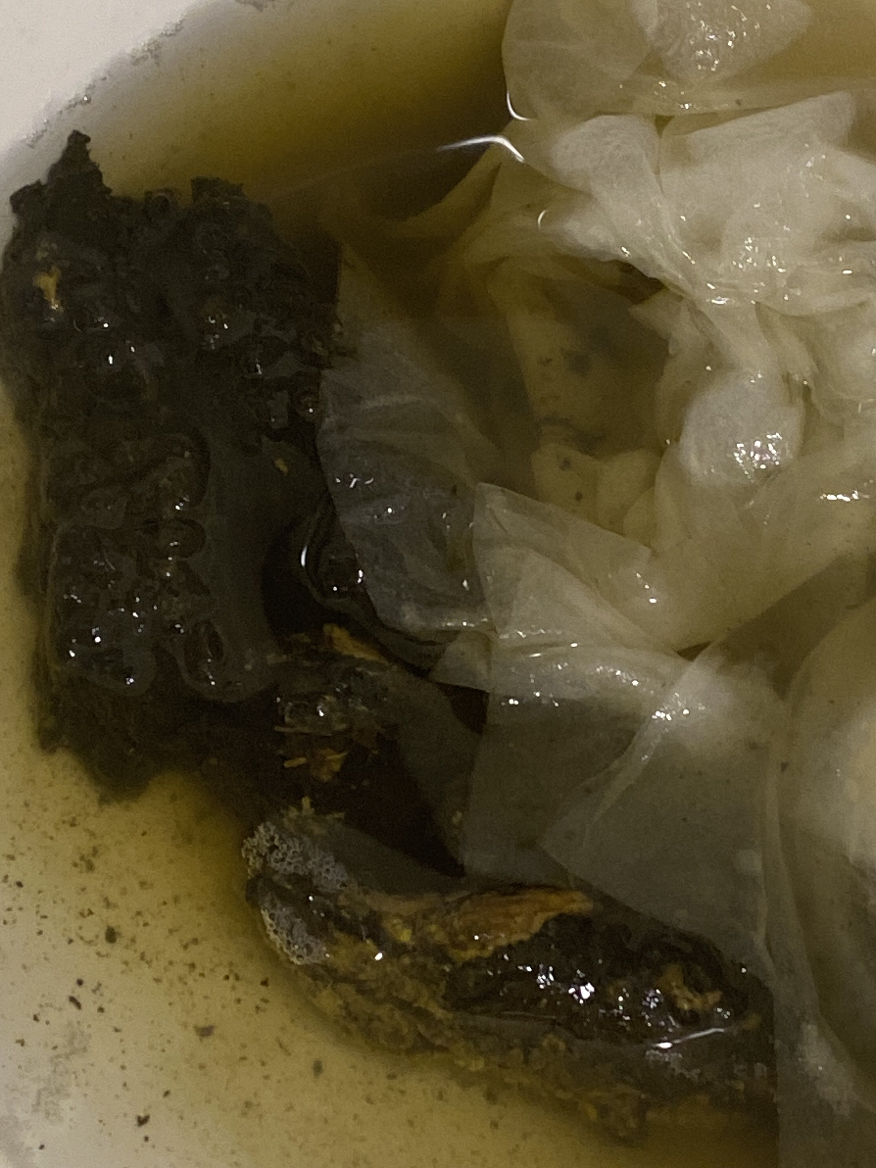 1761900378595 1761900378595