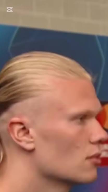 1759335482006.png
