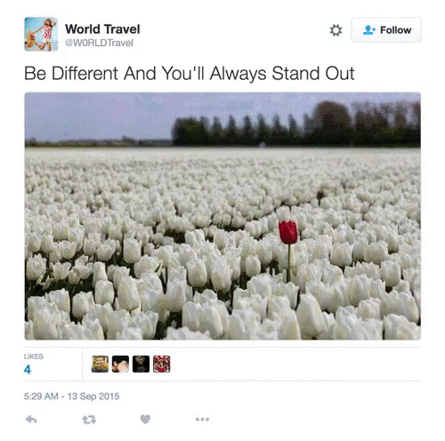 IMG_1362.gif