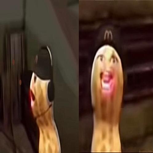 peanut.jpeg