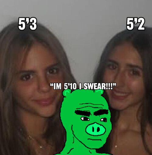 IMG 2052