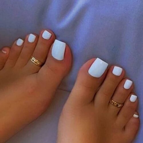 51NVxbzteBL._UF1000,1000_QL80_.jpg