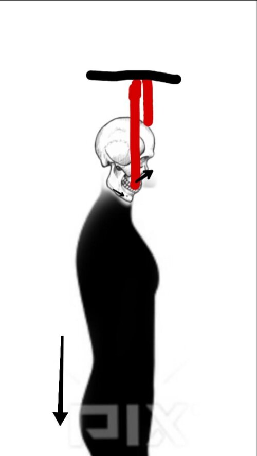 unnamed (2).jpg