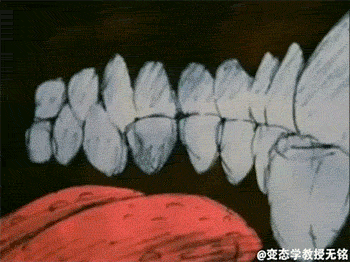 A-day-inside-a-womans-mouth-smallit-is-blurred-out-04f9cb-5271312.gif