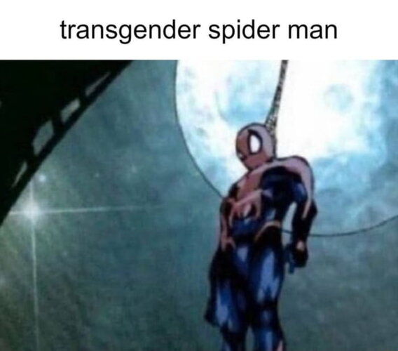 adRBejWZ_700w_0.jpg