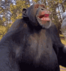 IMG_5346.gif