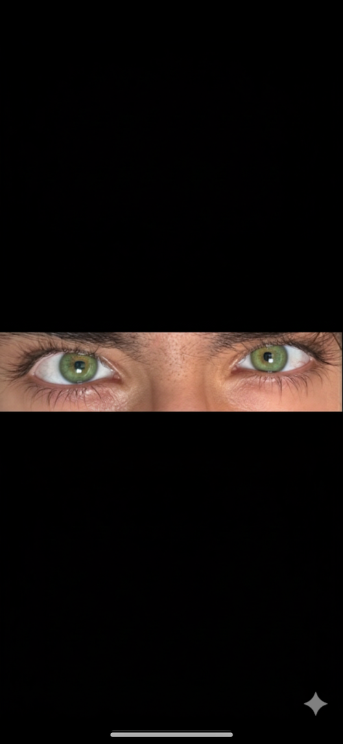 IMG_9115.png