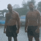 andrew-tate.gif