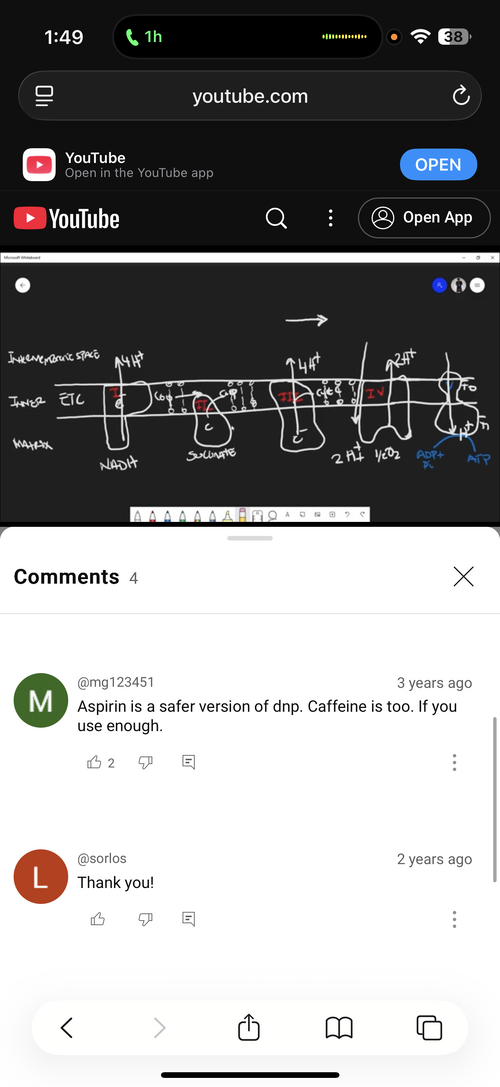 IMG_6817.png