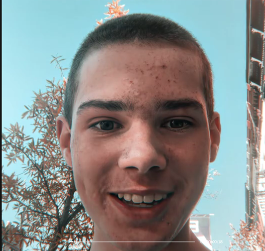 6.png