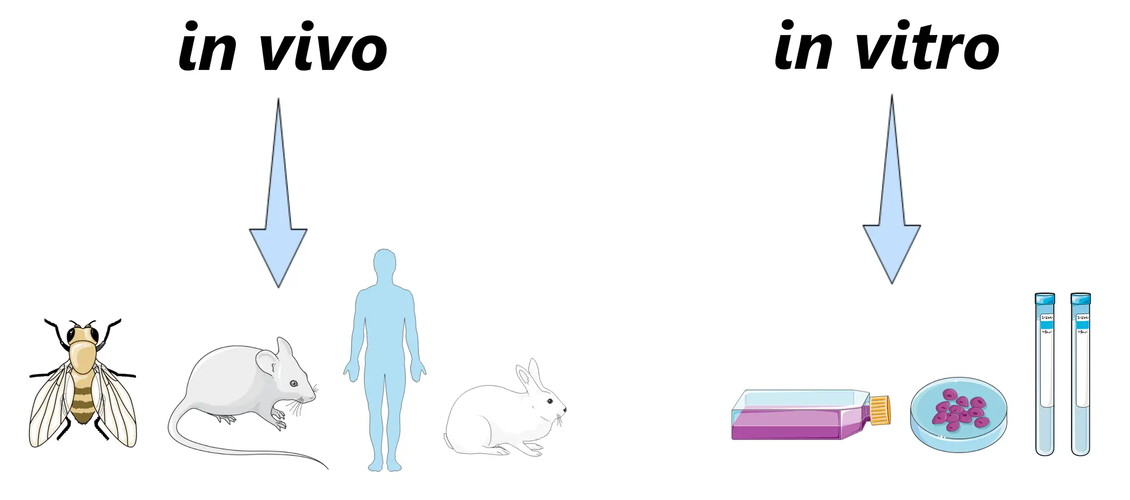 1760721371287.png