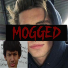 Screenshot 2025-10-14 16.22.58.png