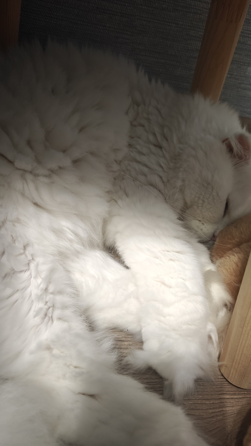 IMG20251018182004 (1).png
