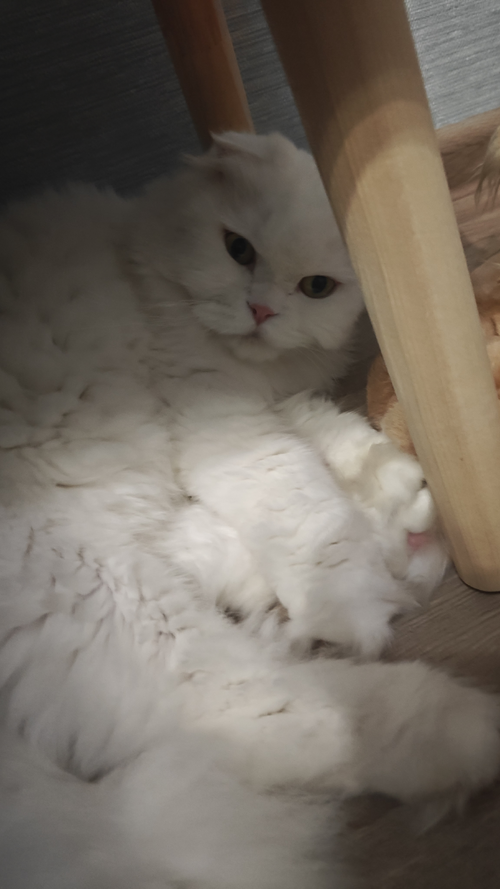 IMG20251018181940.png