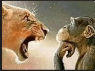 Screenshot 2025-10-19 221016.png