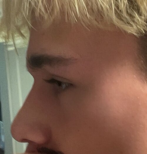browridge2.jpg