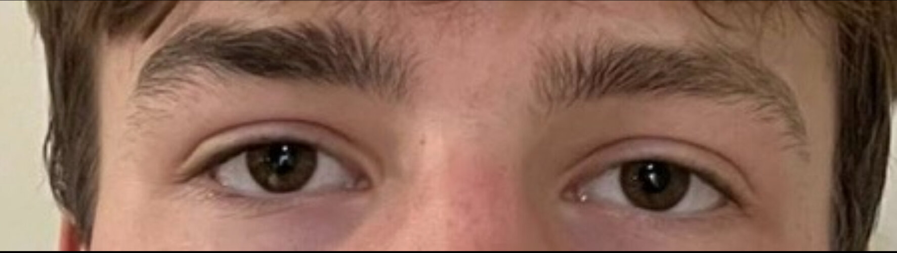 4427164 IMG E8557   Copy