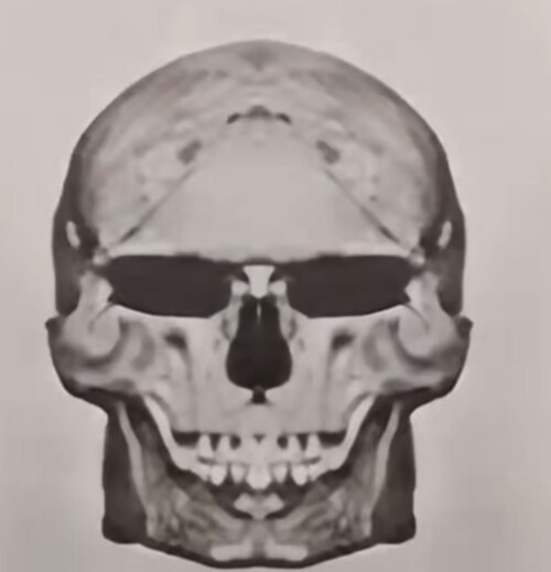 Screenshot_20251022_192333_TikTok.jpg