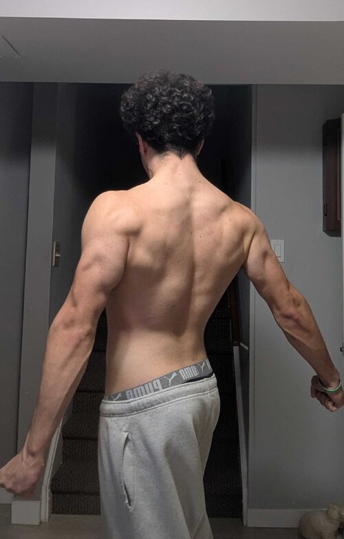 physique back 2.jpg