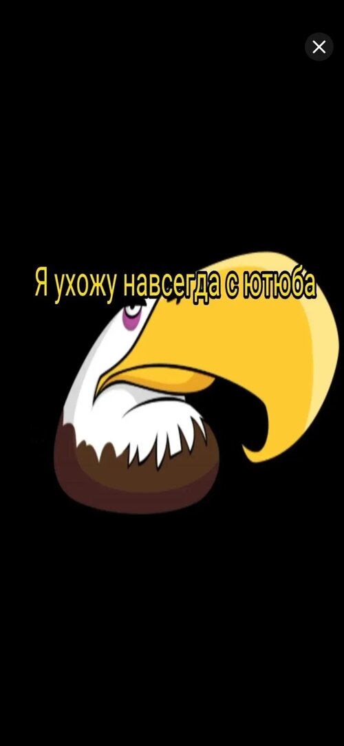 Screenshot_20251024_121652_YouTube.jpg