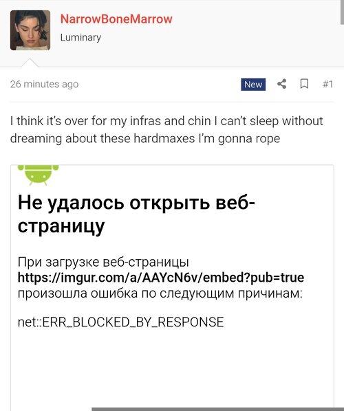 1000052933.jpg