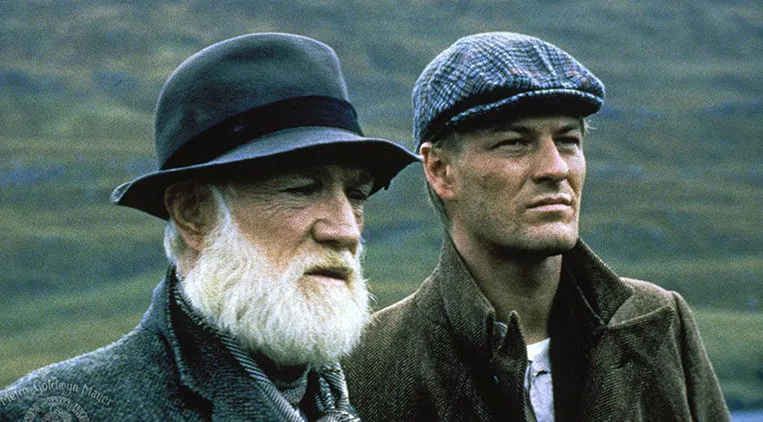 1761590135482 1761590135482