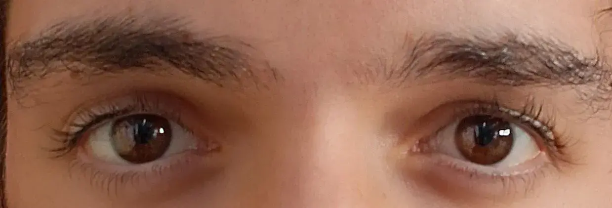 SPOILER_20251027_160455 (1).webp