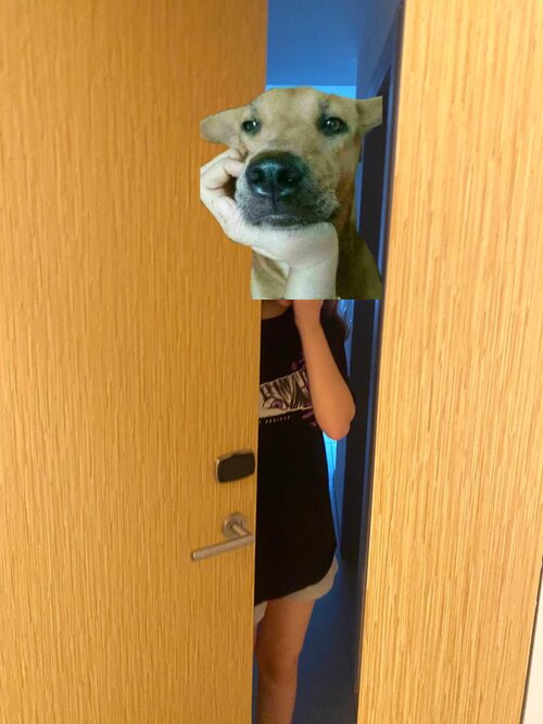 WhatsApp Image 2025-10-29 at 05.52.52_2dc6f17e.jpg