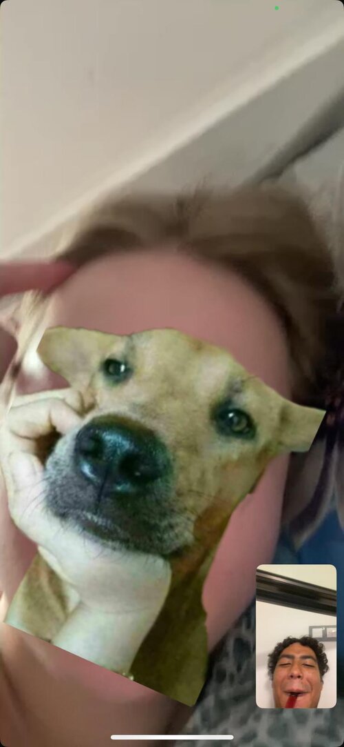 WhatsApp Image 2025-10-29 at 05.51.45_2c076012.jpg