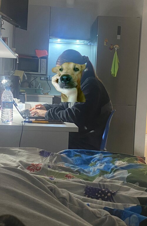 WhatsApp Image 2025-10-29 at 05.51.13_654b346a.jpg