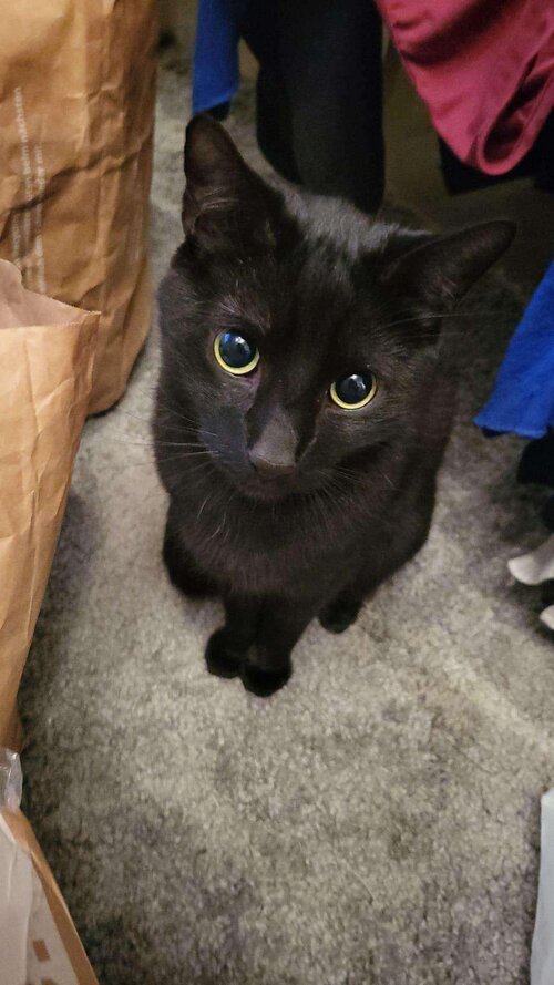 IMG 20240708 025118 017