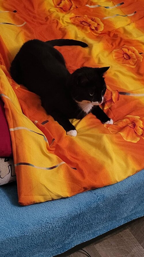 IMG 20240606 231421 550