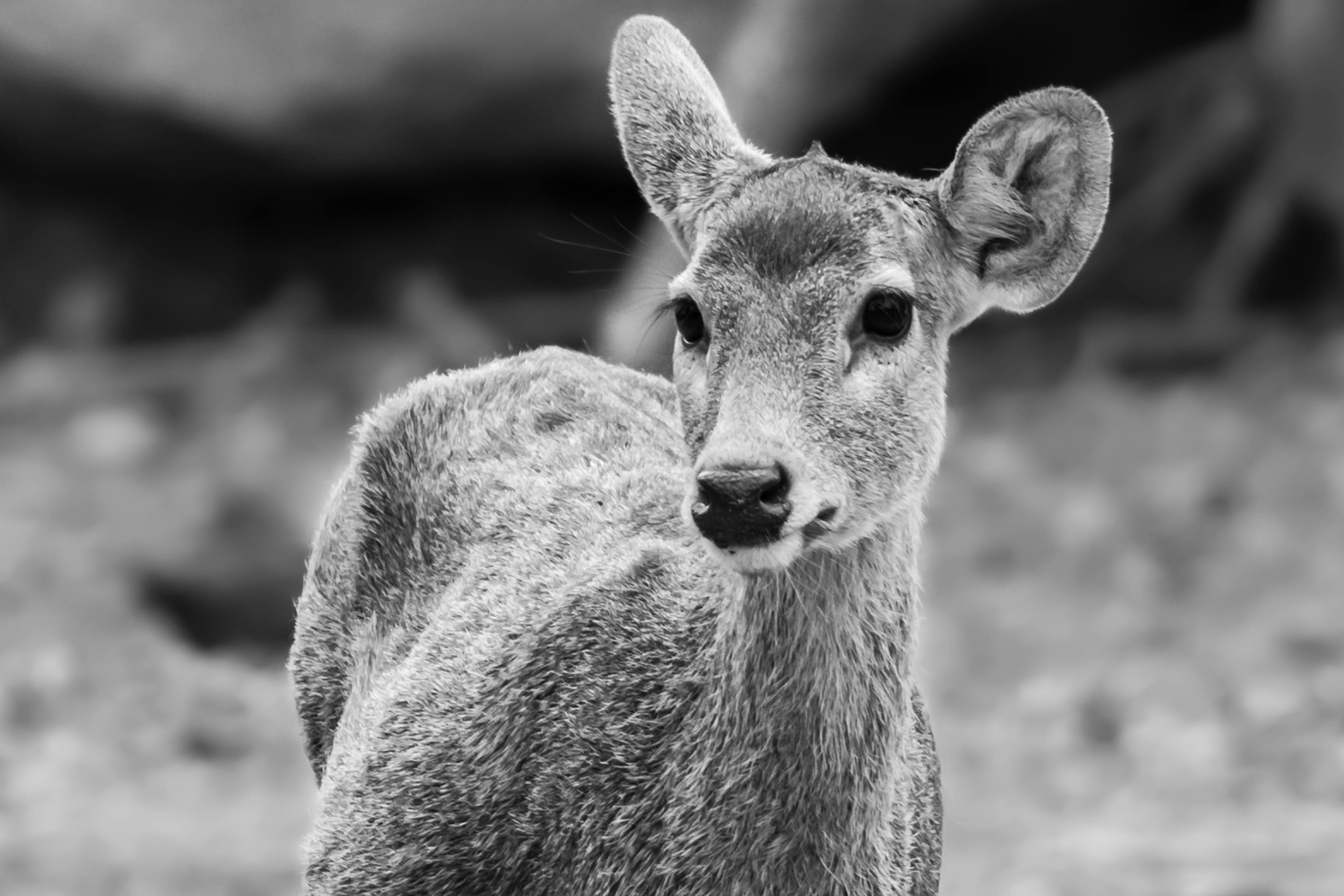 1761975399407 1761975399407