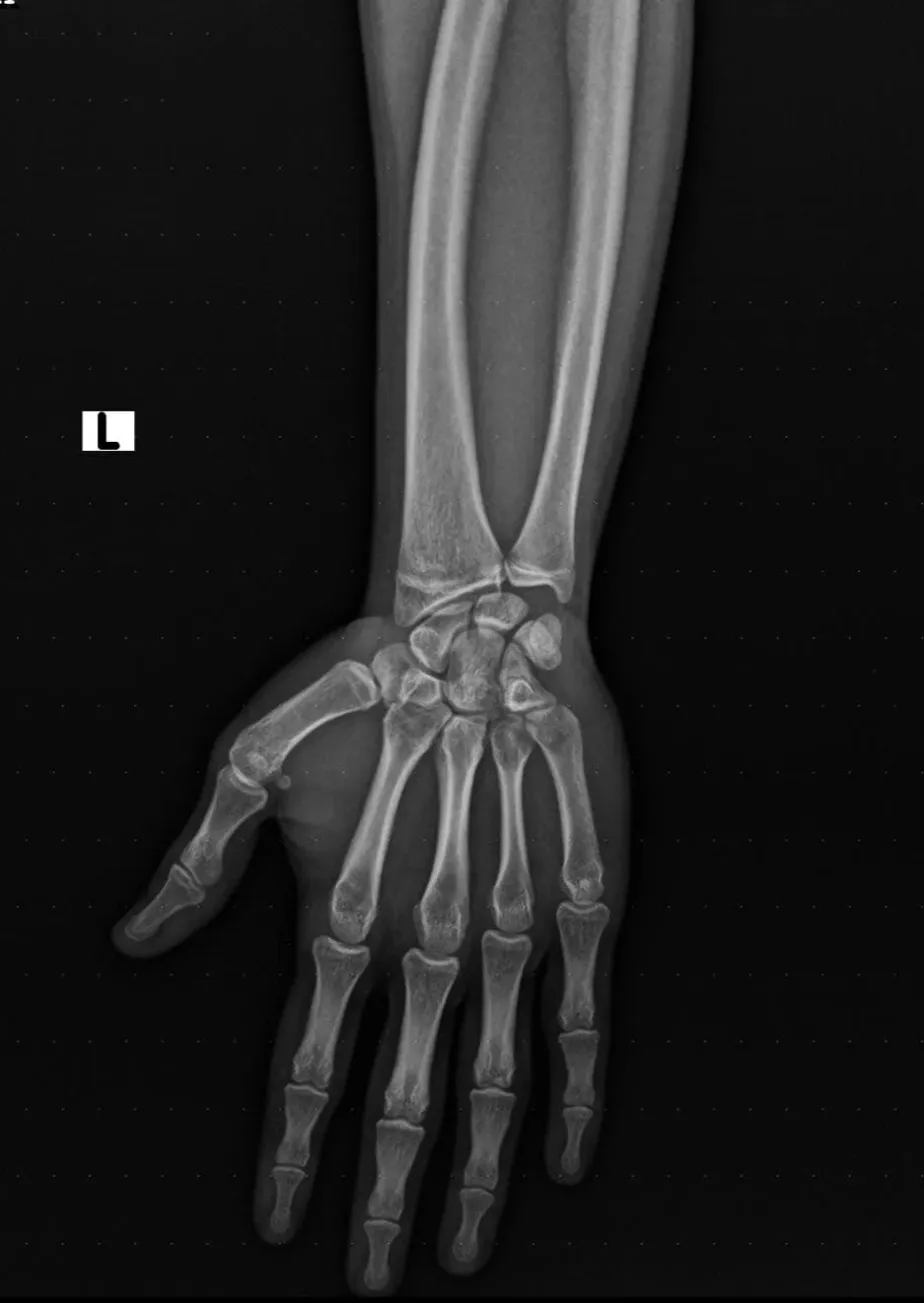 6b4b5ba2 9693 4f3f 98c7 dbbfc3c1b855