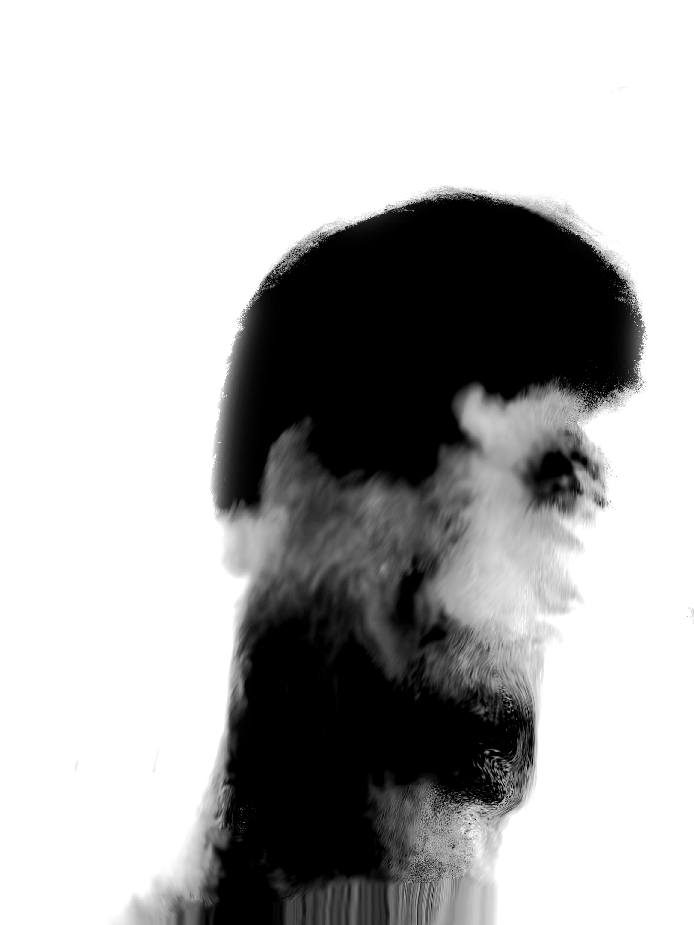 Untitled2 20251015221756