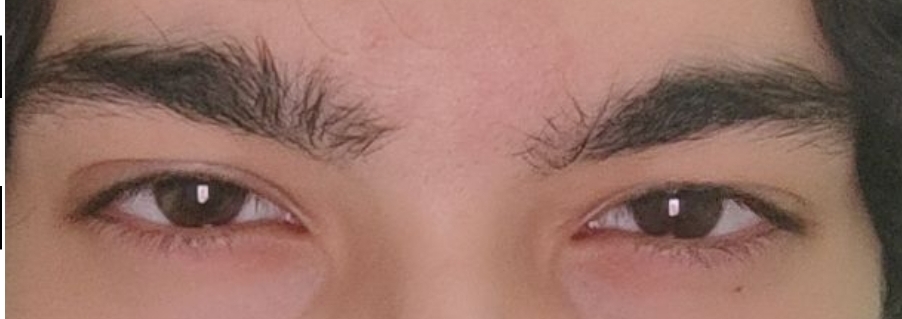 1000122068