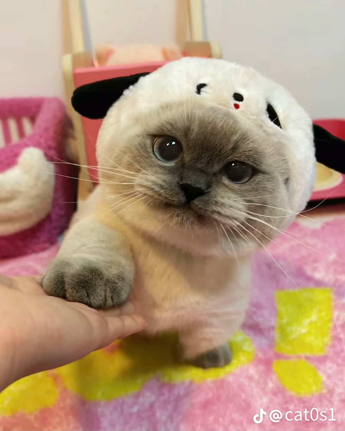 E9B3586B 2F26 4A1F B989 42665E1FA66B