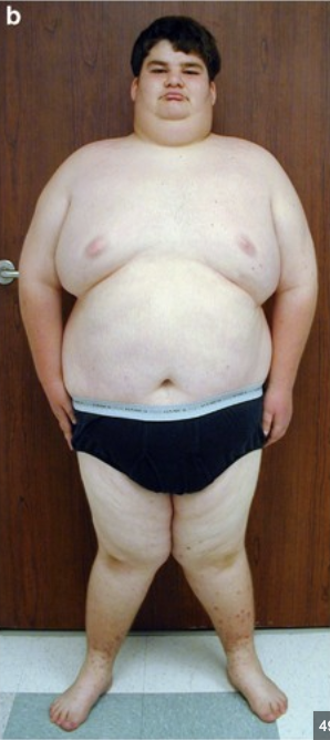 Screenshot 2025 11 01 at 110049PM