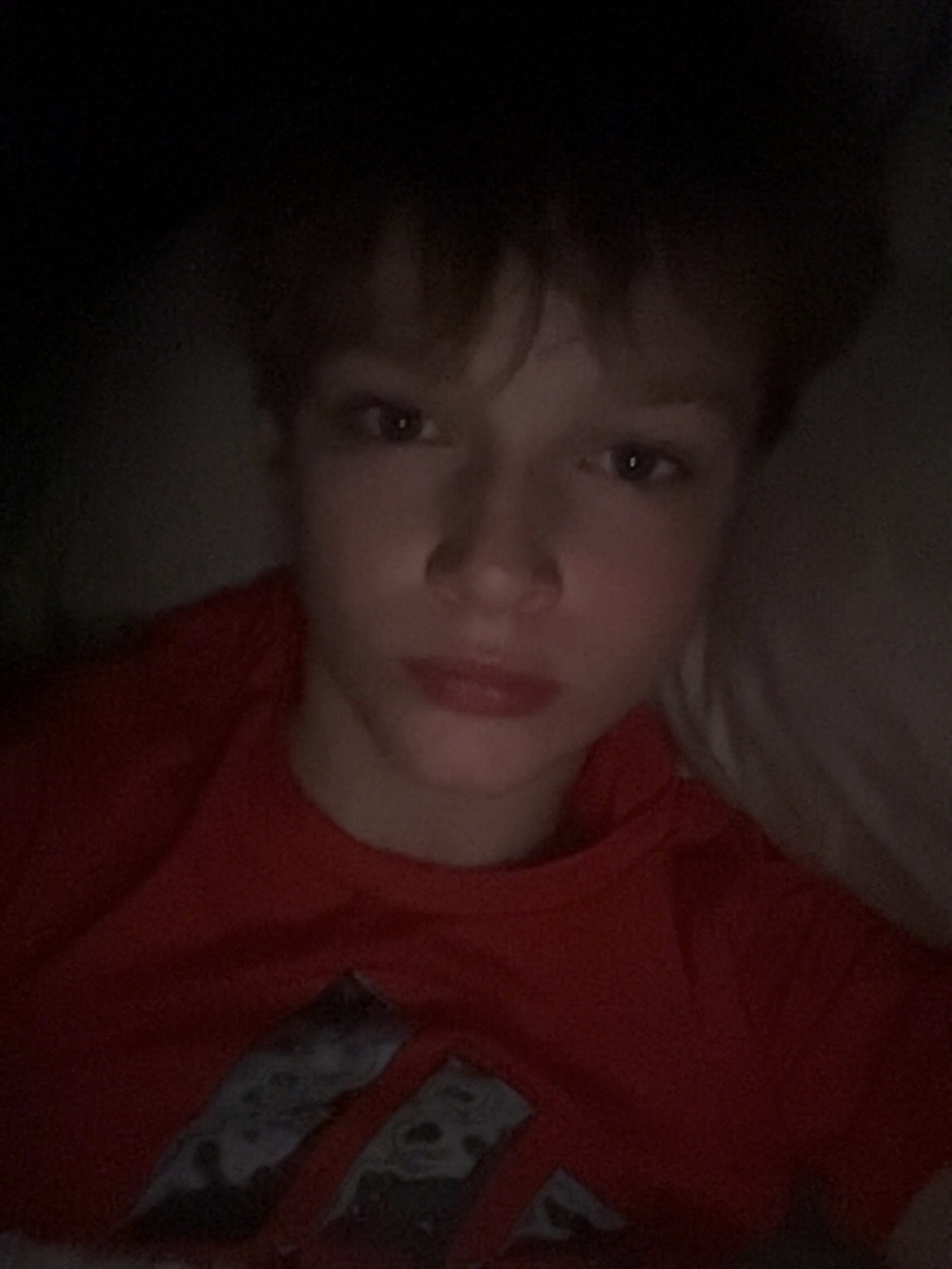 IMG 1305