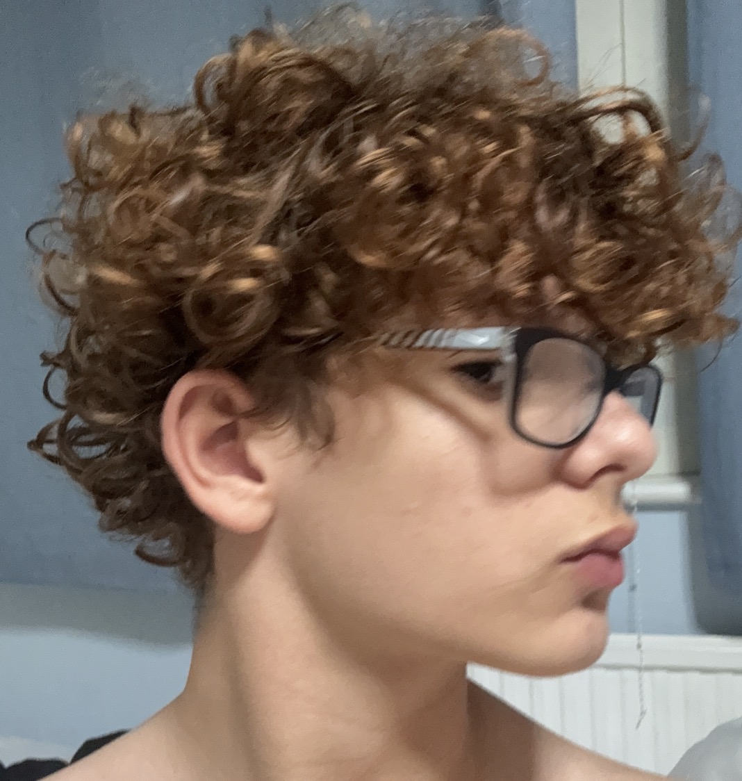 IMG 0041