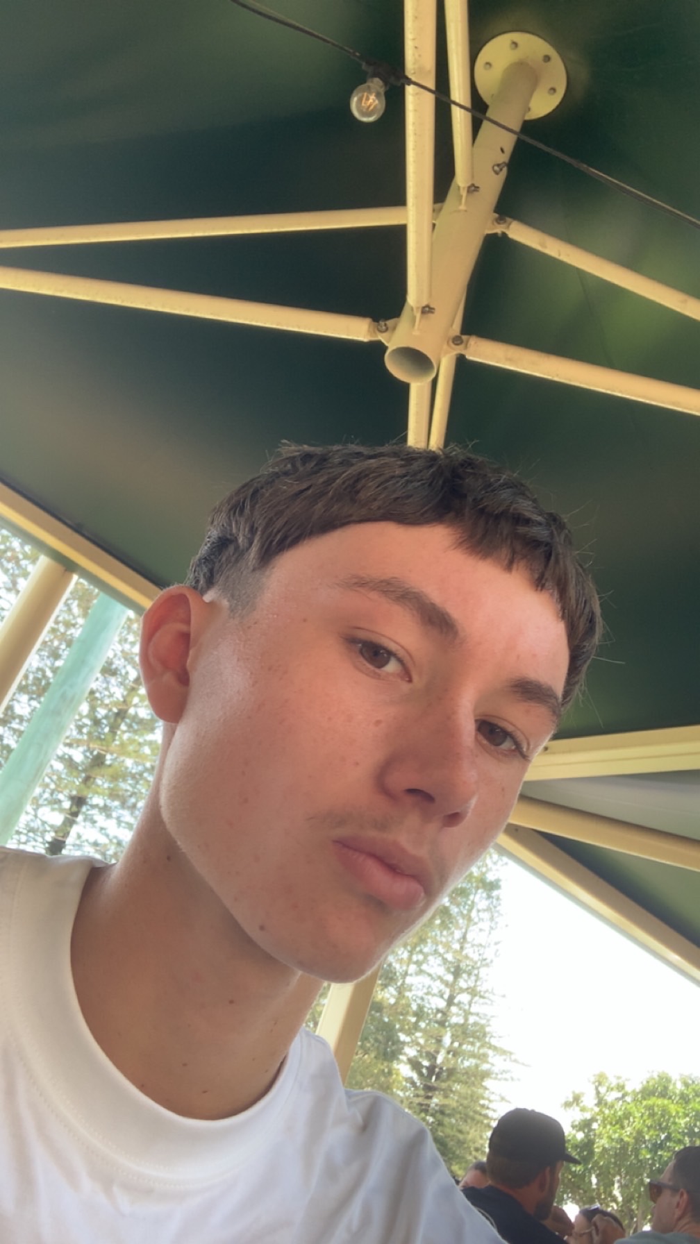 IMG 1137