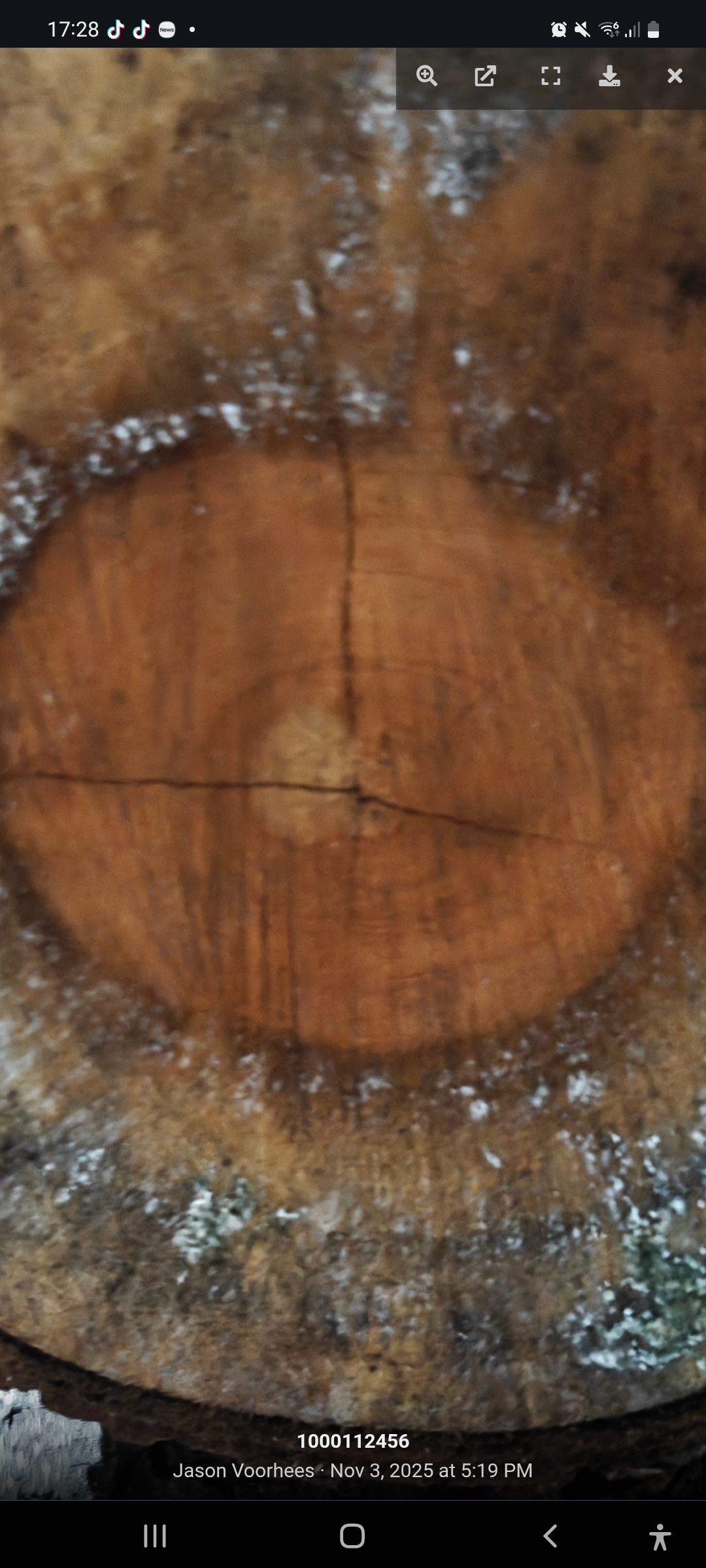 Screenshot 20251103 172811 Chrome