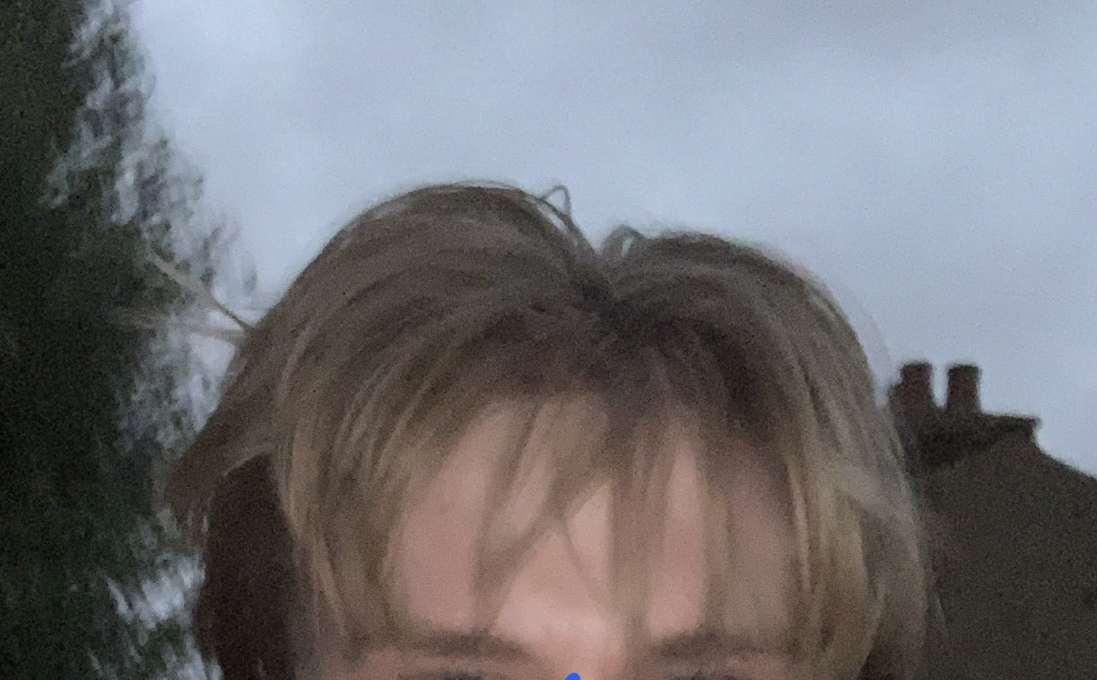 IMG 2717