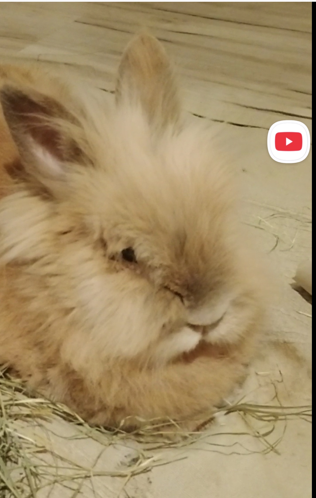 Screenshot 20251103 175433 Samsung Internet