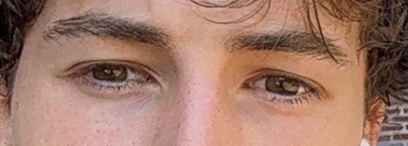 IMG 3538