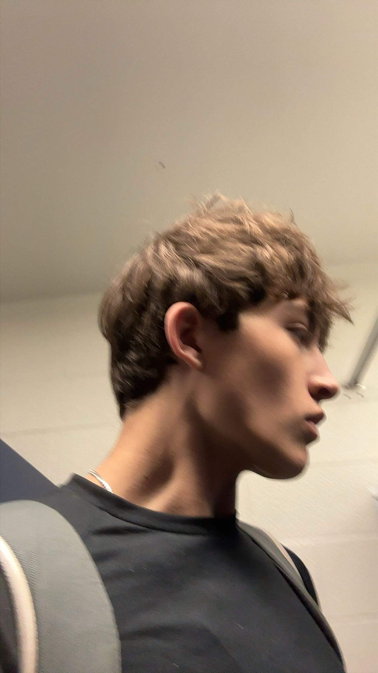 IMG 2550